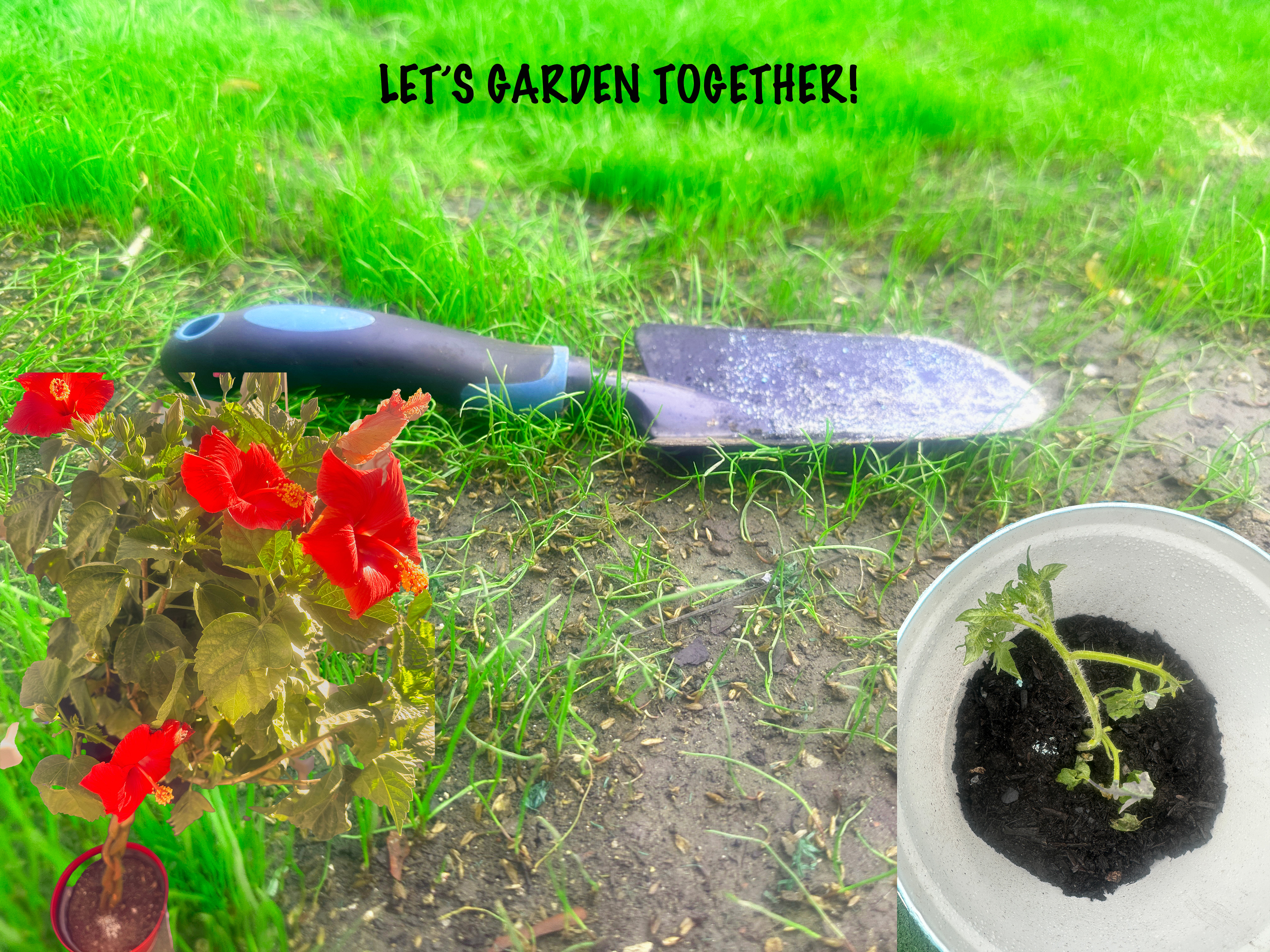 Garden banner image